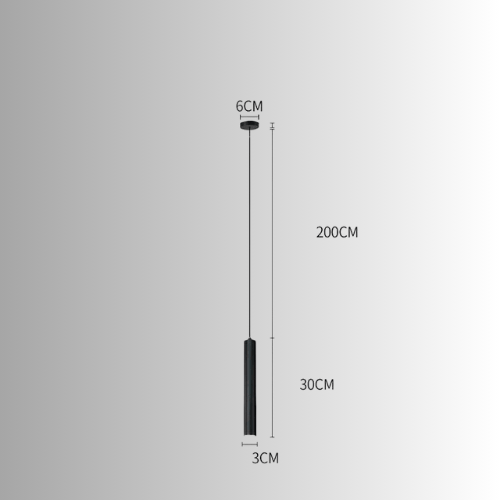 1 TÊTE / LUMIÈRE CHAUDE 3000K Suspension spot