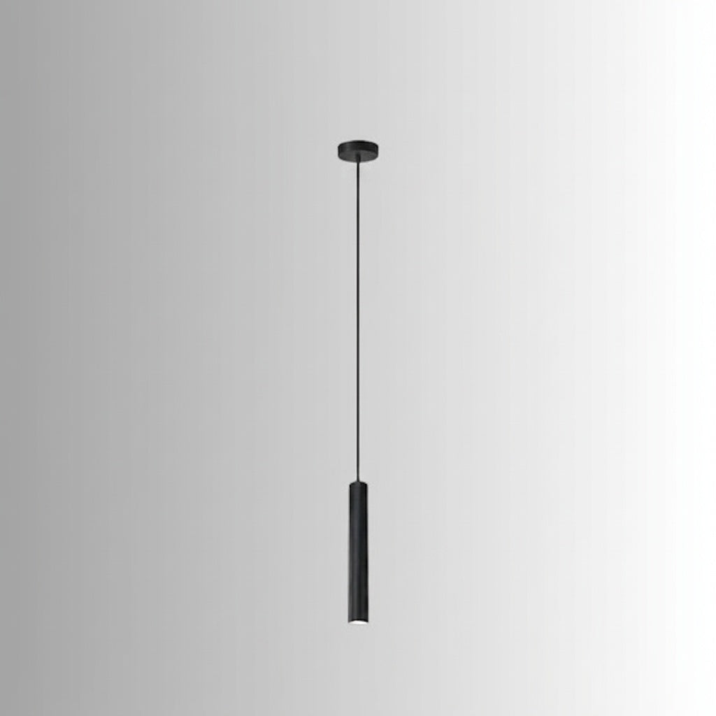 Suspension spot 1 TÊTE / LUMIÈRE FROIDE 6000K
